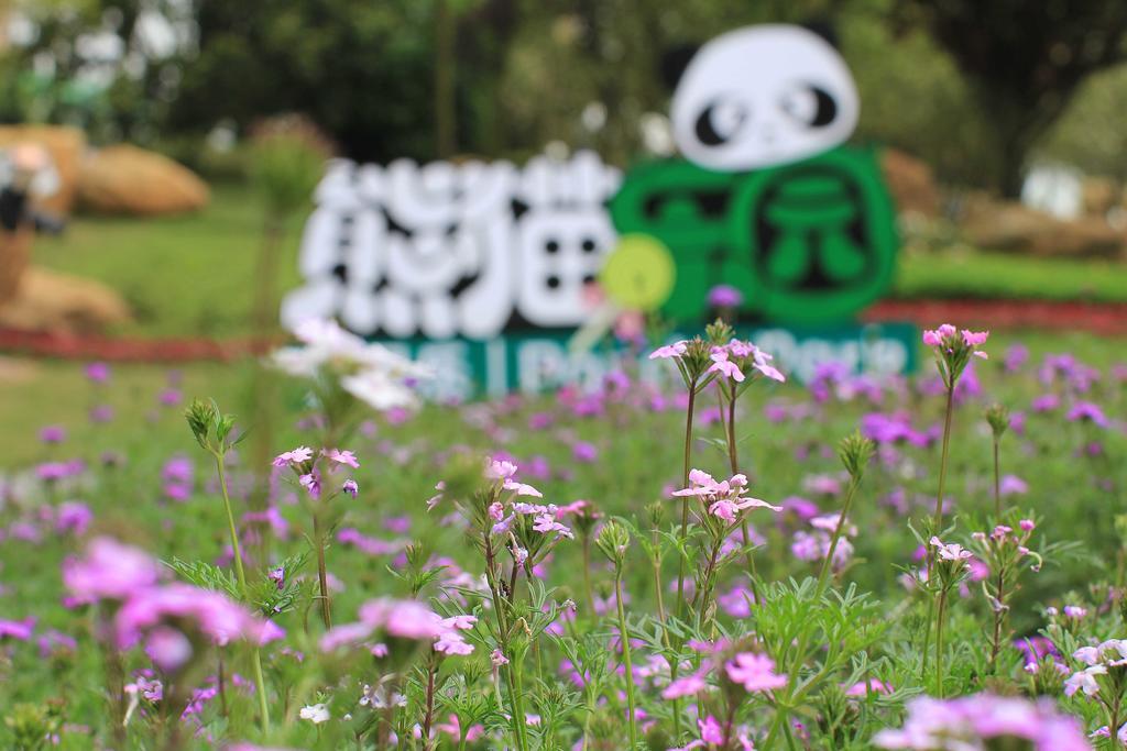 Howard Johnson Agile Plaza Chengdu Bagian luar foto